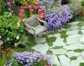 �� ����� � ������� ��������� �� ����? фото