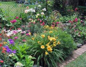 ���������� ��� ���������� ������ фото