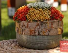 ������� ���������� (������� ����������) фото