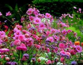 ������ ������ � ������ ������� фото