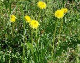 ������������ ���� �� ��������� ���������� фото
