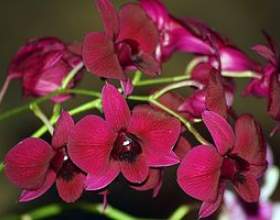 ������� ���������� - ������ � �������� ������. ���� фото