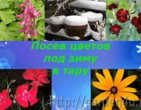 ���������� ���������� ����� ����. ������� 2. ���� � ������ фото