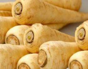 ���������: �����������, ������ фото