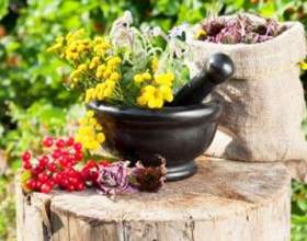 ����� �� ������, ���������, ������: ������� ������� фото