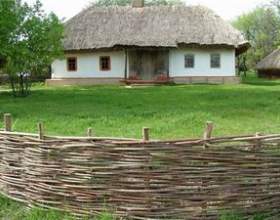 ������� ����������� �������� ��� ���� фото