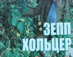 ���� ����� ��������� ����� ����� �������� &laquo;������-������������&raquo; фото