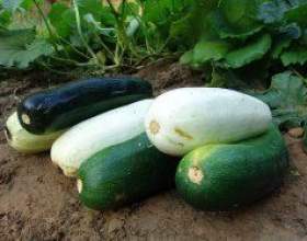 ������������ ������������� ������ фото