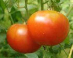 ������� �� ���� фото