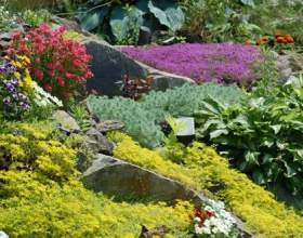 ������� ������� �� ���������� ����� фото