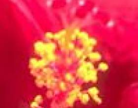 �� ���������� �������, ��� ��� ��� ����� фото