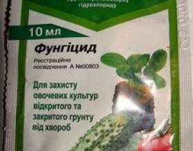 ����������� ������� ������ фото