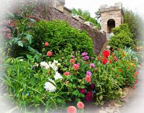 �������� ������ � ����� �� ����� фото
