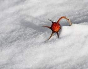 ��� � ���� фото