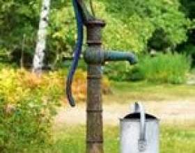 ������ � ����� � ������ ���������� ���� фото