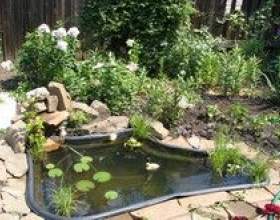 ����������� ������ � ������� �������� фото