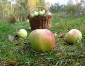 ��������� ������ � ������������� ������ фото
