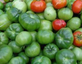 ����� ����� ����������� ������ фото