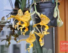 ��������� фото