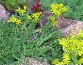 ���-15 �������� ������� ������ ������� 4. фото