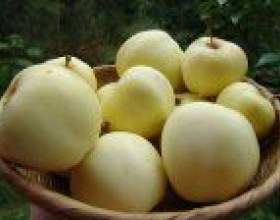 ����� ����� фото