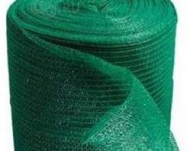 ����� ������� ���� ������ ��� � ������ фото