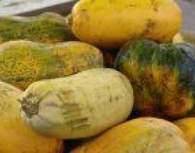 ������ � �����. фото