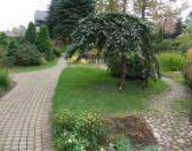 ĳ����� ������� ���� �������� � ������� фото