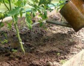 ������ �� ��������� ���������� фото
