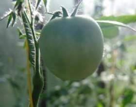 �������������� ������� � ���� ������ фото
