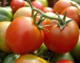 � ���� �������� ������`� ������? фото