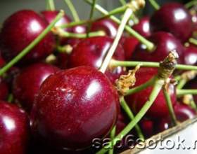 ������� � ����� фото