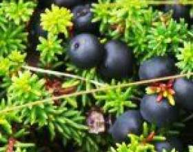 �������� ����� фото