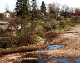 ������ ����� �������� ������� фото