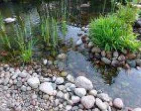 ��������� �� ������ ������ - �� ������������ фото