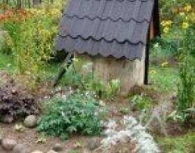�������������� �� ������ ������. фото