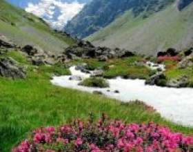 ���� � ���� фото