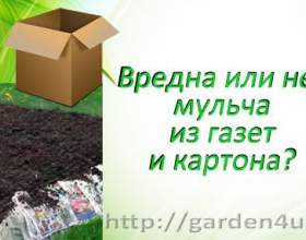 �� ������� ����������� �������� � ��������? фото