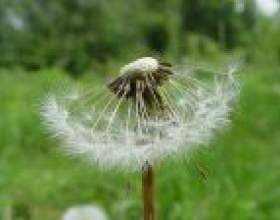 ��� ��� ����� фото