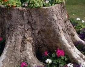 ��� � ���! фото