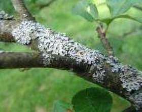�� ���������� ����� ������� ��������� фото