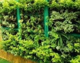 ��� �������: ��������, ������� � �������! фото